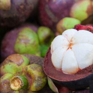 Parfymolja lila mangostan