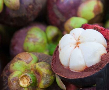 Parfymolja lila mangostan