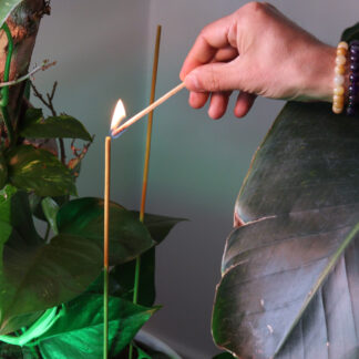 Rökelse Biofresh Citronella 50cm